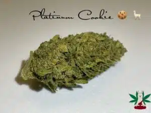 Platinum Cookies