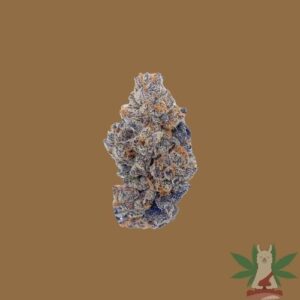 Blizzard Wizard (Hybrid)