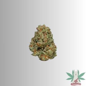Cali Fire (Indica)