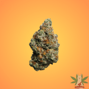 Biscotti (Hybrid)