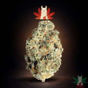 Nimbus Snacks sativa hybrid cannabis flower from Leafy Llama Dispensary Arlington VA